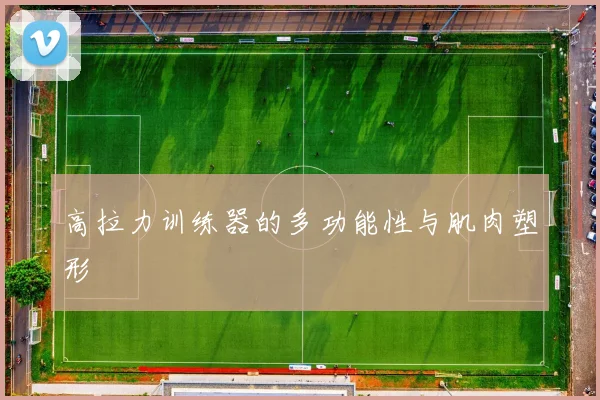 高拉力训练器的多功能性与肌肉塑形