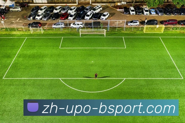 B体育APP 体育赛事宣传图